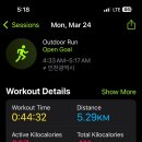 팔팔이네