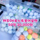 로스트볼아울렛 이미지