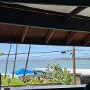 유의조농장 이미지