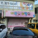 개 이쁘개 이미지