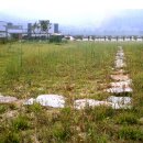 창원 덕천리 유적 이미지