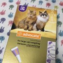 위드팜 굿모닝 약국 이미지