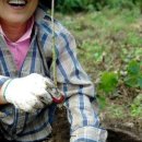 파평산농장 이미지