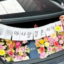 플로피아 이미지