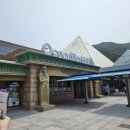 왔다 파크 | 강원도 홍천 비발디파크 소노벨 B동 놀다왔다 후기 오션월드도 갔다왔다