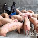 유재근농장 이미지