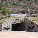 동굴칡국수 이미지