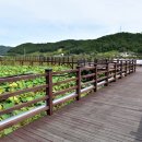햇님.달님