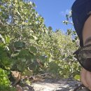 (주)삼일렌트카 | 세계에서 제일 이쁜 바다 Flamengo 바다/ 라쿨레브라 섬 가는법/ La culebra섬 후기/ Flamengo 바다 가는법