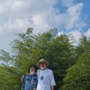 (주)의송 이미지