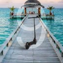 나인에코 이미지