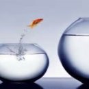 피그말리온 이미지