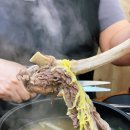 진심갈비 - 김포시 김포한강8로194번길 8-25 | 송도 갈비탕 맛집 갈비탕에 진심 왕갈비가 통째로 들어간 진한 국물 후기