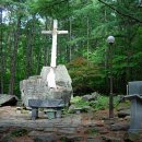 겟세마니동산 이미지