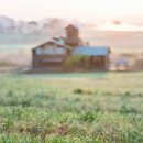 햇살목장 이미지