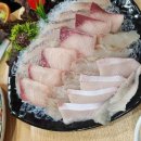 신선수산 티스토리