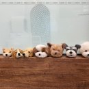 모랑펫살롱 이미지