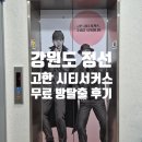 야생화마을 추리본부 | [강원도 정선/방탈출] 100% 환급받는 '공짜' 방탈출, 고한씨티서커스 후기