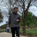 시바견 전문 가도켄넬 이미지