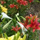 은골농장 이미지