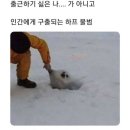 풍무로 네이버블로그