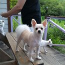 은동이네 이미지