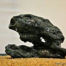 배춘 Daum카페