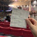 소울캣 | [킨텍스/도자캣] Doja Cat : Ma Vie World Tour 도자캣 내한 후기 진짜 미쳤다 찢었다.. 지정석 A...