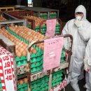 김용태농장 이미지