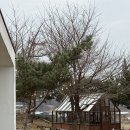 이숲 | 천안 카페 추천ㅣ이숲 카페 주말 방문 후기