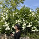 구름이쉬어가는농원 이미지