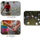 은어축제 문화유적탐방버스 이미지