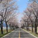 미천공원 이미지