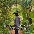 꽃이야 나무야 파주 | 파주 조인폴리아 화훼단지 식물농원마켓 꽃시장 추천