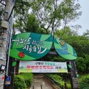 황족원데이 이미지