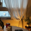 회복약국 이미지