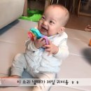 윤태하 카카오 검색결과