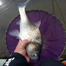 행암낚시터 이미지