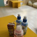고양이카페 아이캣유 | 전주 효자동 고양이카페 아이캣유 신시가지 실내 이색데이트 추천