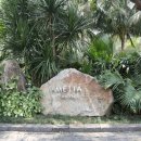 따봉 | 다낭 숙소 가격 가성비 멜리아비치 따봉 후기 및 시설