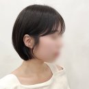 다윈헤어 네이버블로그