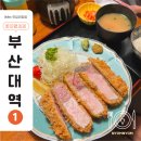 욥농장 | 톤쇼우 본점 재방문! 에비산도부터 버크셔K특로스카츠, 카레까지 (+웨이팅 팁, 광안리점 차이)