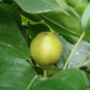 아름농장 이미지