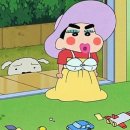 W.5 결혼준비, 제이웨딩 스드메 견적공유 스드메 계약후기 계약완료✨(랑게/마리에드오늘/로나 기준)