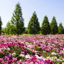 합천푸드뱅크 이미지