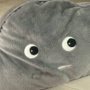 비상유도클럽 | [260302]