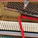 반디펜션 이미지