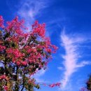 두메산골 이미지