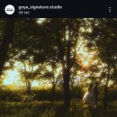 서주컨설팅 | 분위기] 후회 없는 선택! 고야시그니처 토탈 촬영 찐 후기 (feat. 서주 작가님 & 신부야 대표님 혜택)