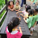 성가정유치원 이미지